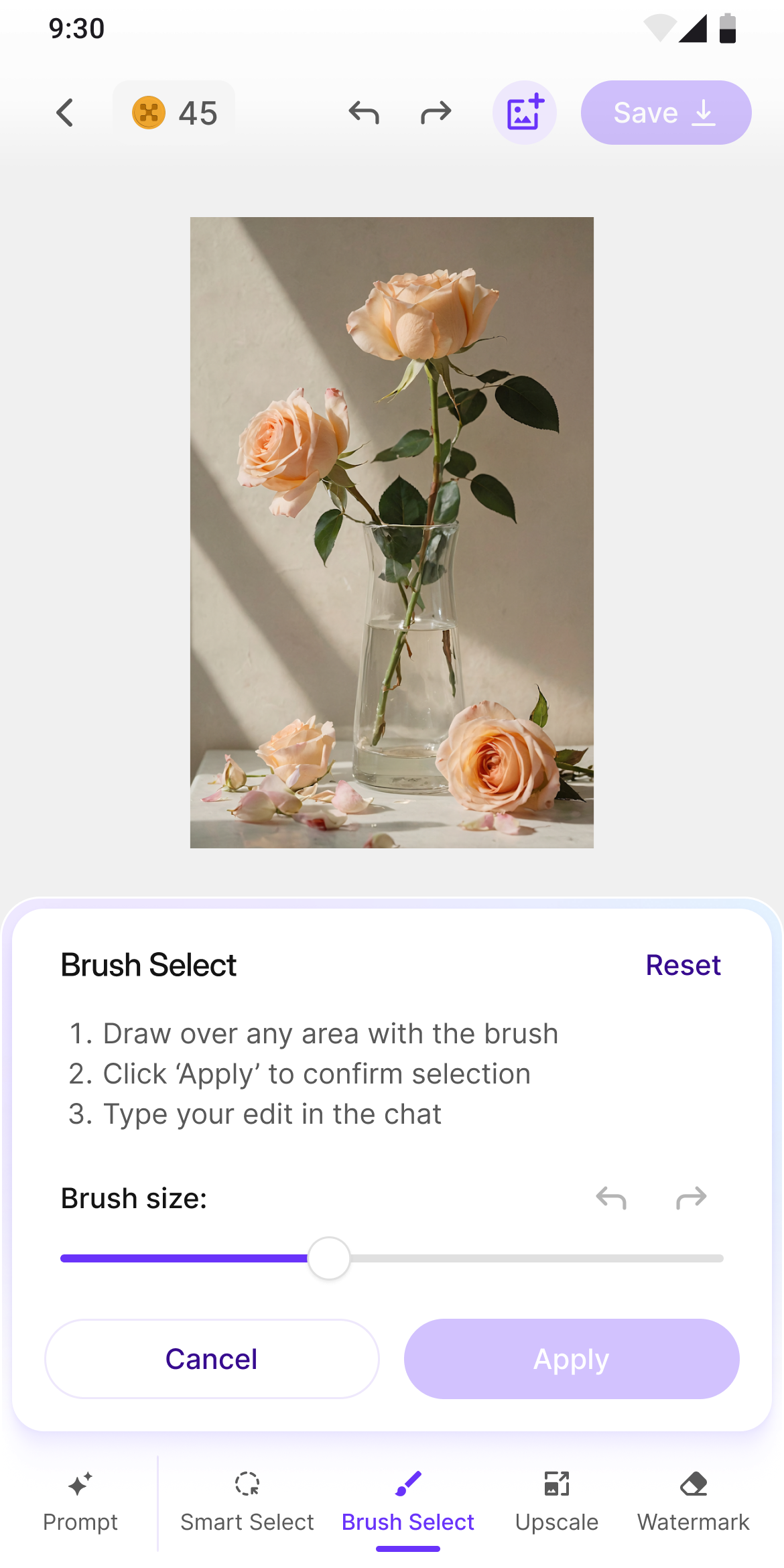 Brush Select tool with adjustable size slider
