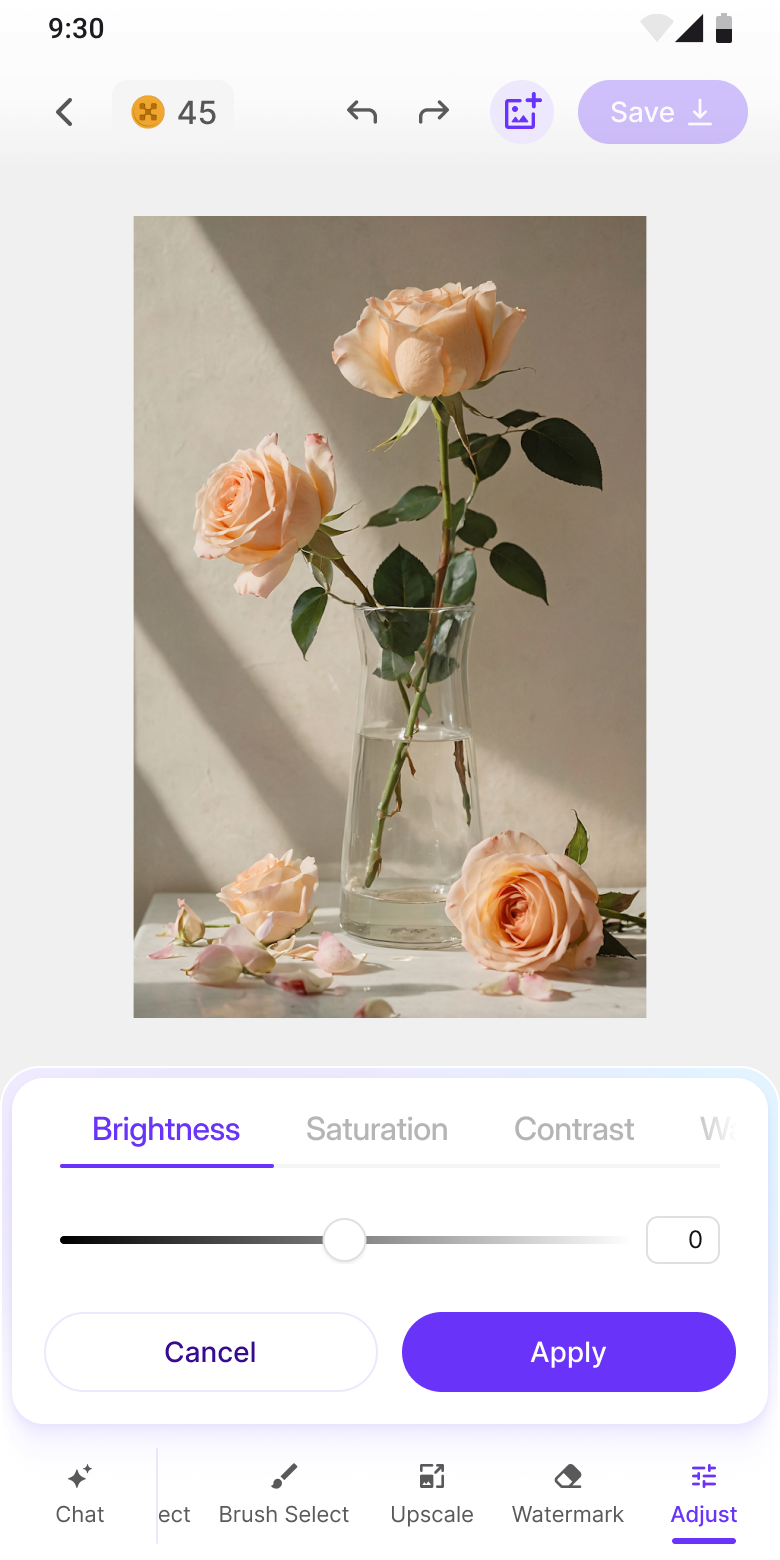 Adjust: Brightness, Saturation, Contrast sliders