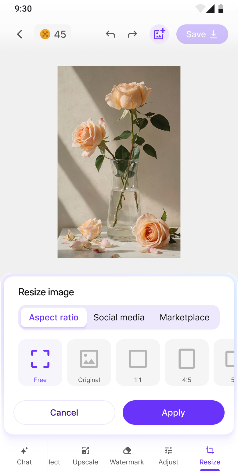 Resize: aspect ratio, social media, marketplace presets