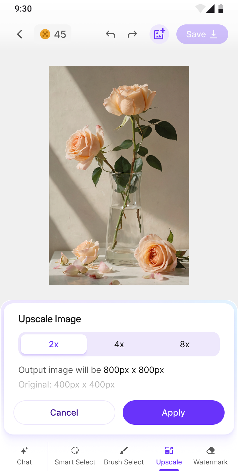 Upscale: 2x, 4x, 8x with output dimensions shown