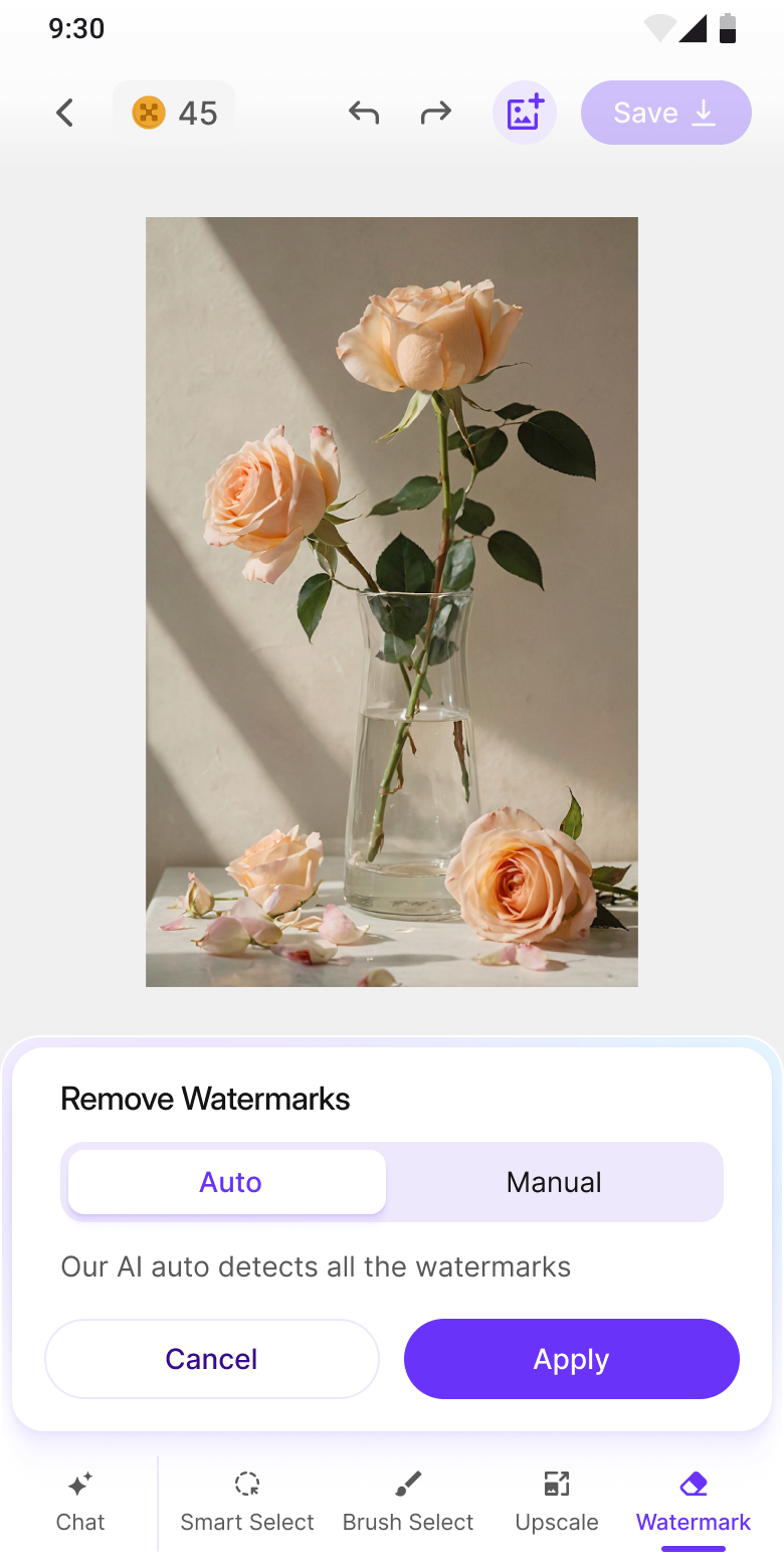 Watermark removal: Auto or Manual mode