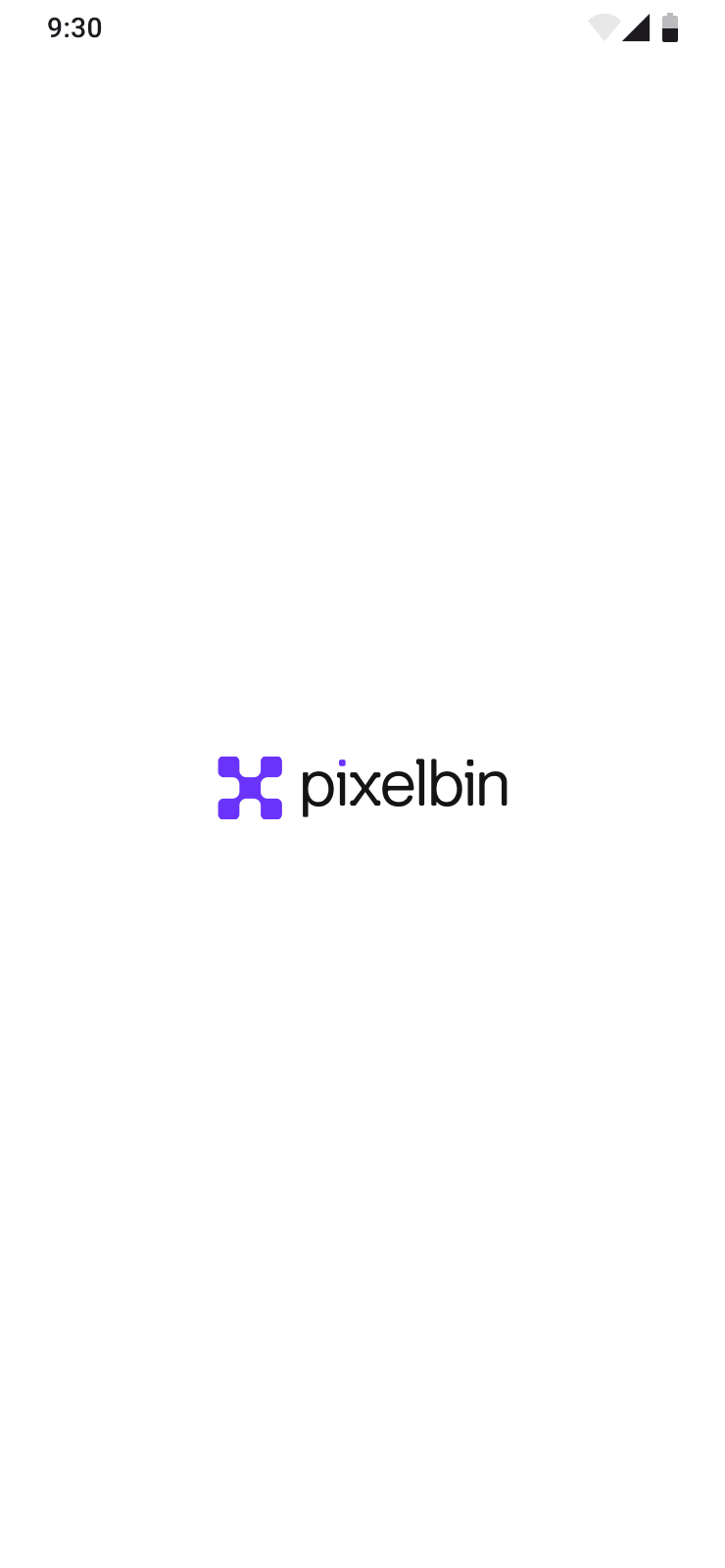 Splash screen with PixelBin logo