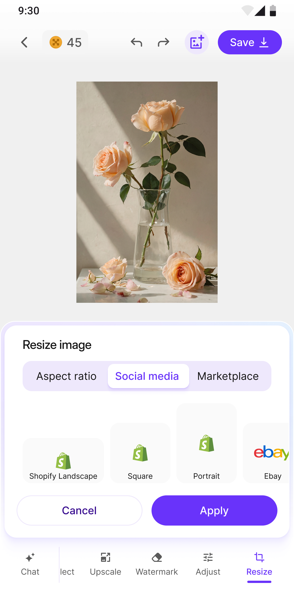 Social media templates — Instagram, Facebook, Twitter presets