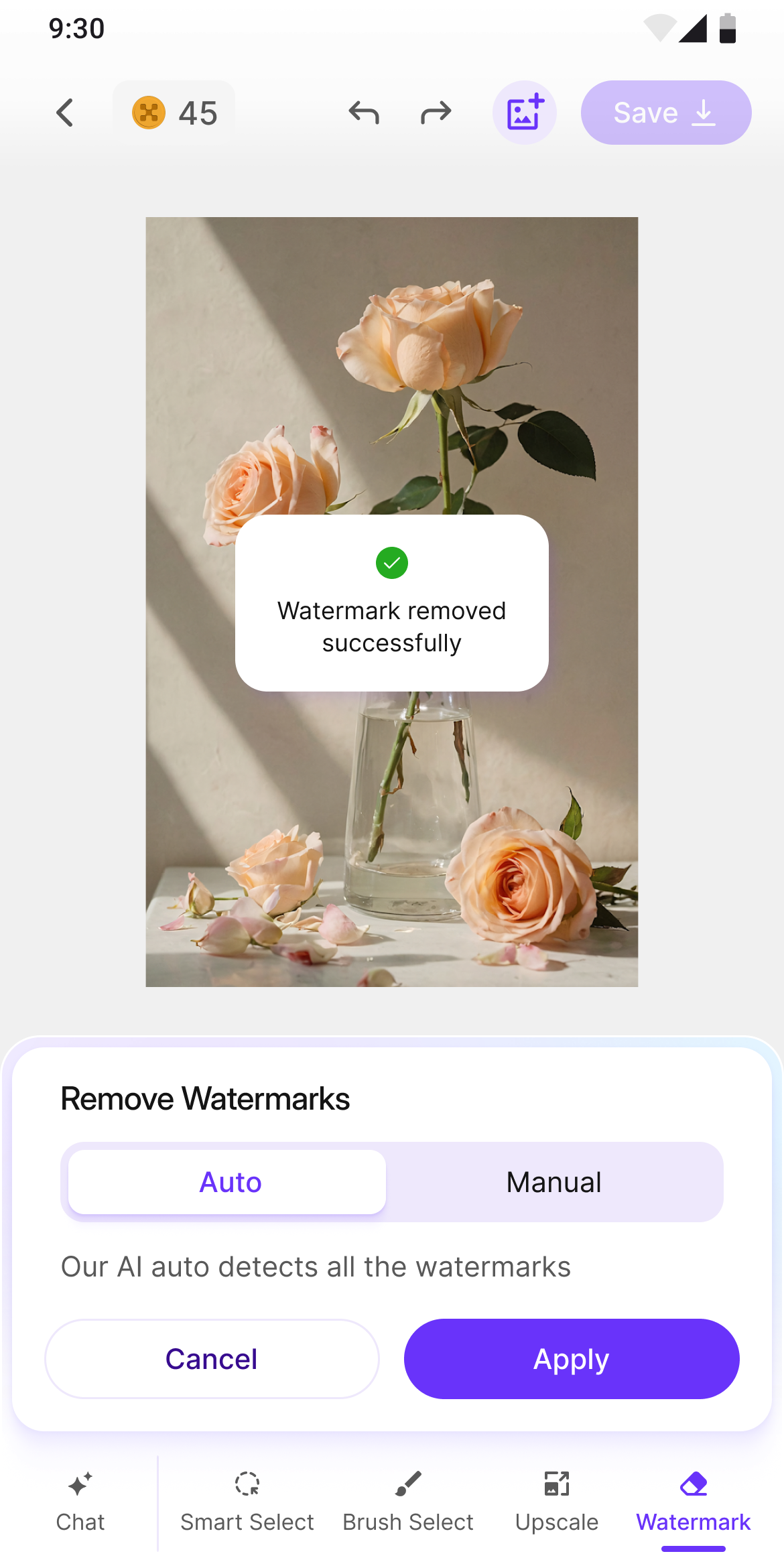 Watermark removed — success toast