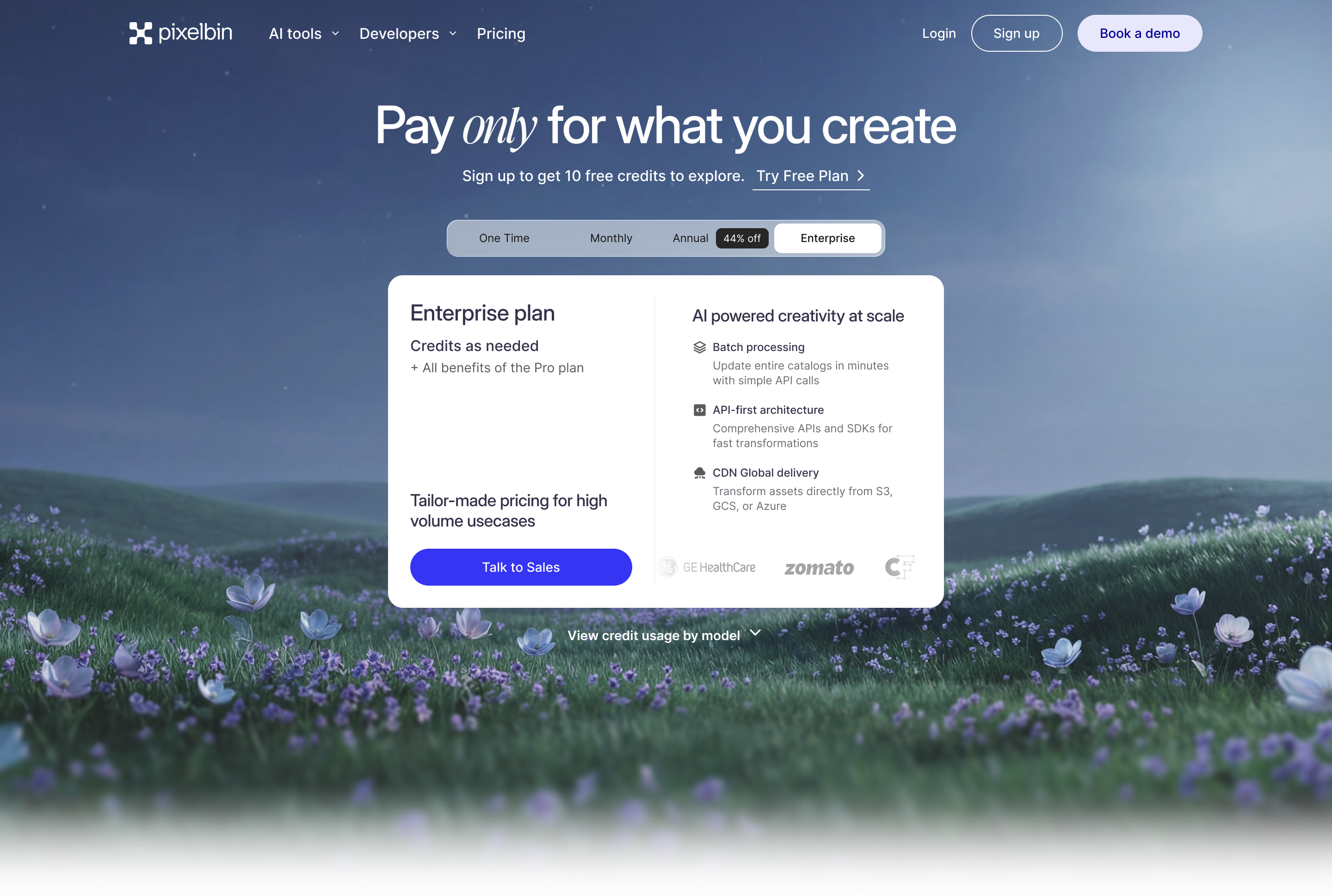 Enterprise tab — custom pricing and contact sales