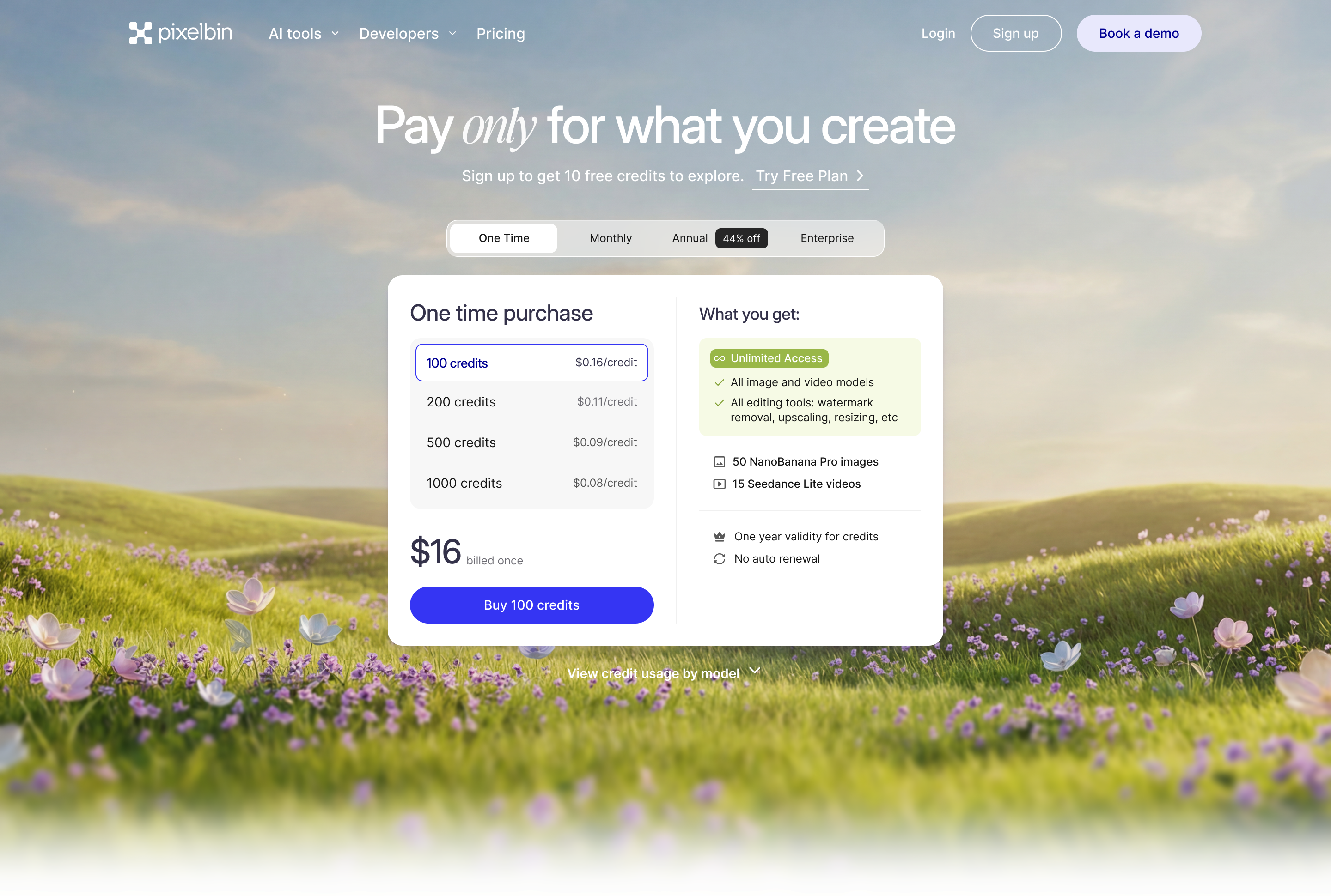 One-time credit purchase tab — pay-as-you-go options