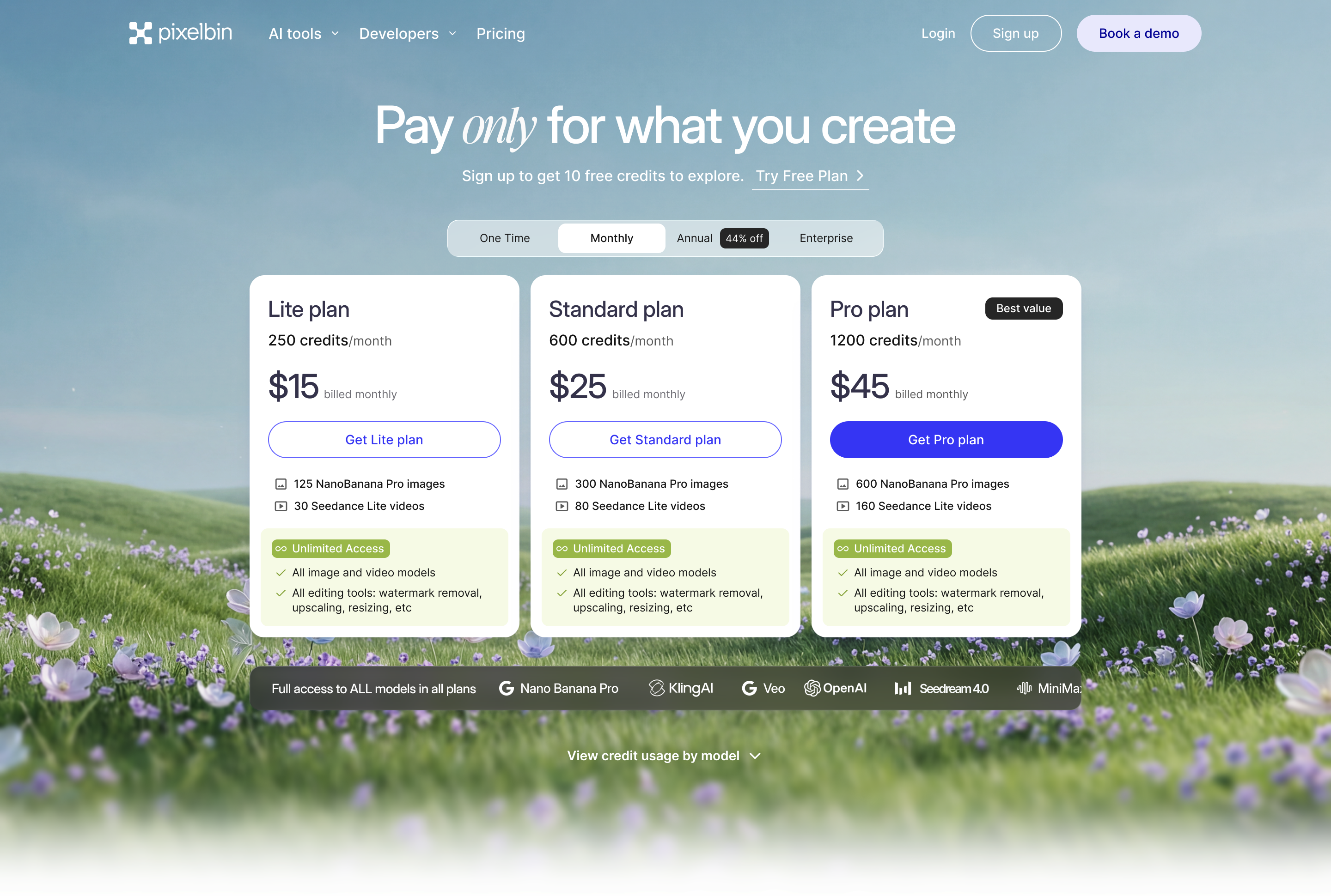 Sale banner — seasonal promotion pricing
